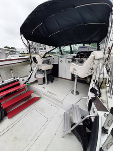 The thrill of Lake Erie fishing!
